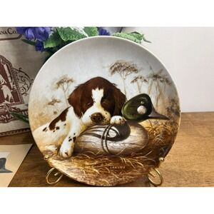 Dog Tired Springer Spaniel Plate Lynn Kaatz Knowles 1987 Box COA Limited Edition